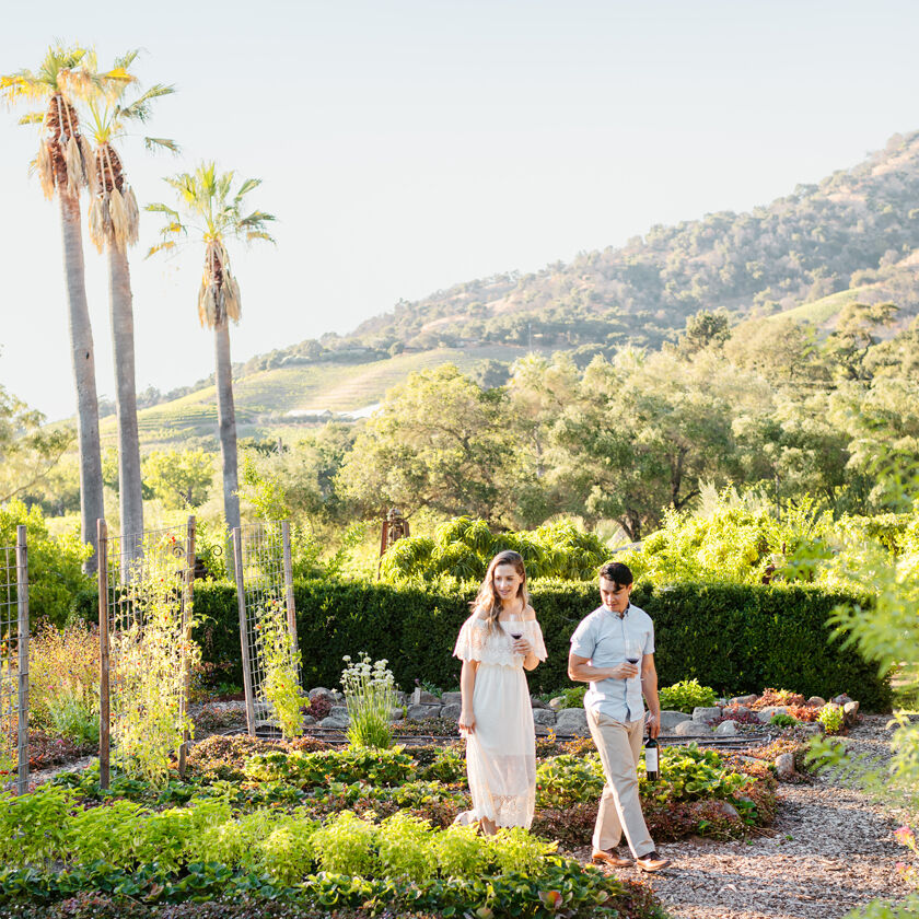 Guests Touring Grounds of Stags' Leap in Napa Valley